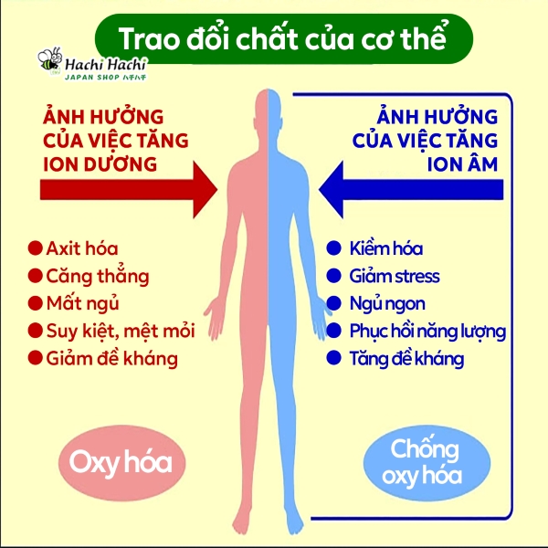 Mieng-dan-thu-gian-ban-chan-2-mieng-tinh-chat-nhua-cay-thien-nhien-(5).jpg